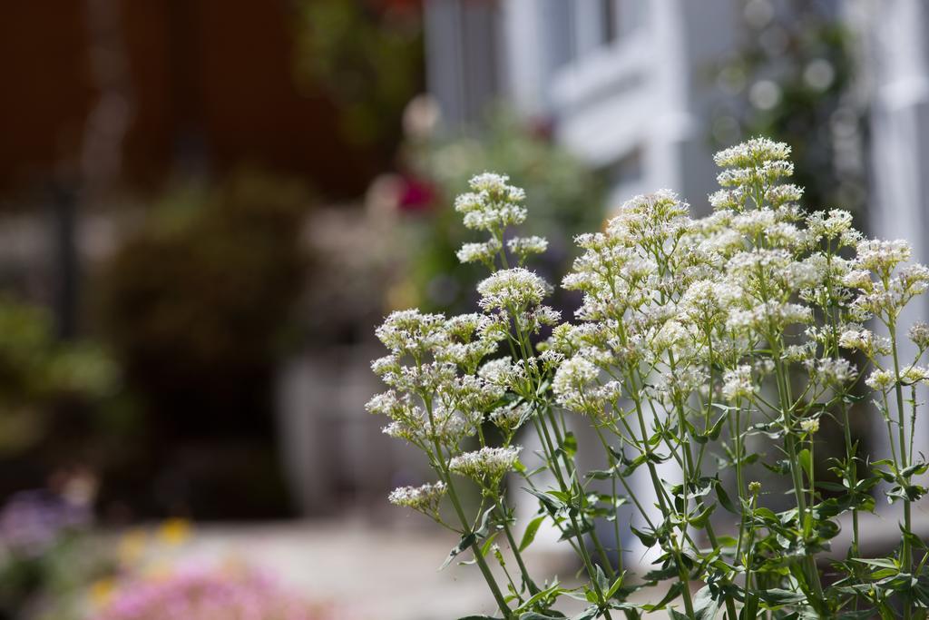 Penwinnick House B&B St Austell Zewnętrze zdjęcie